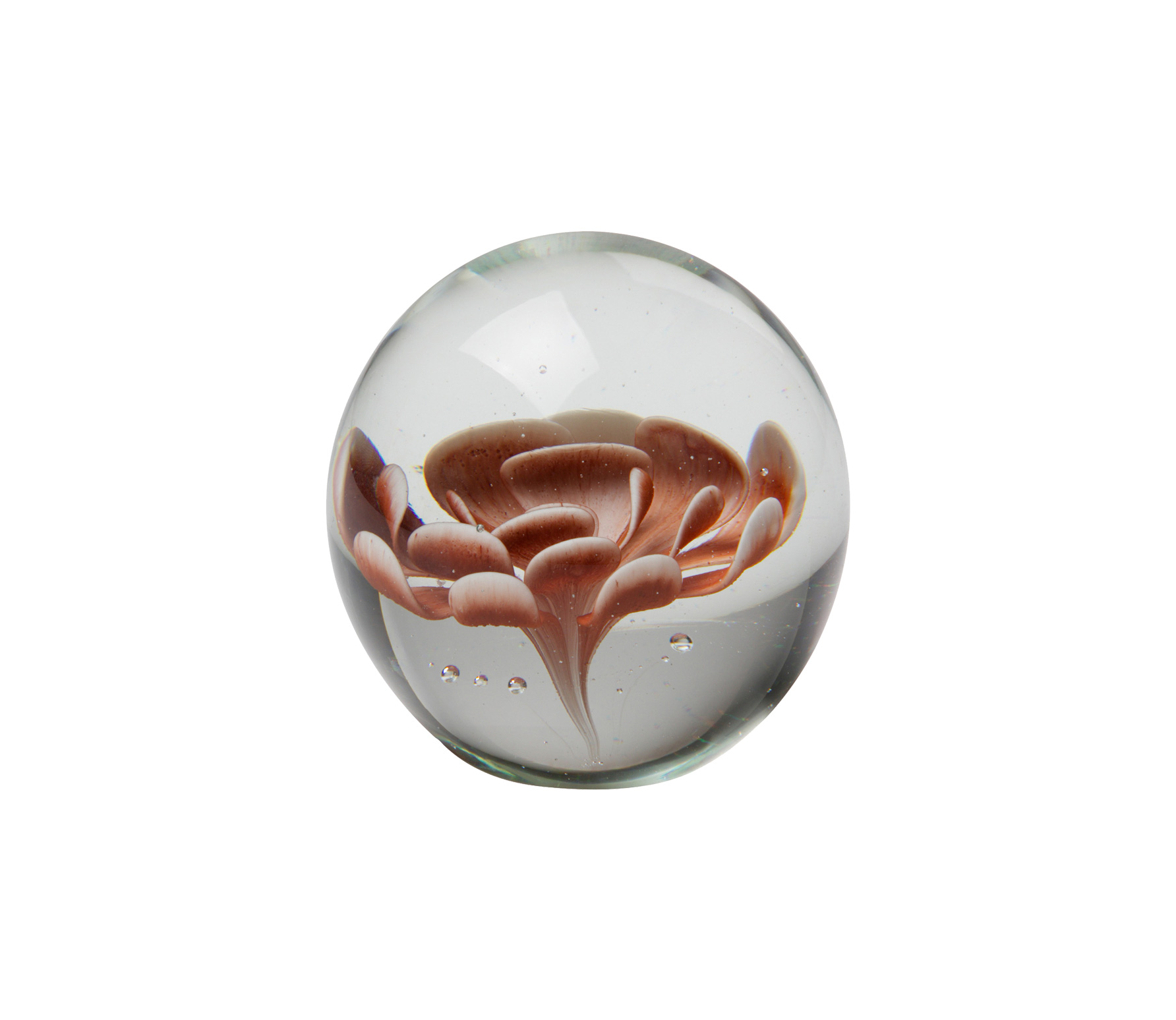 Bepurehome Botanics Bloem Ornament Glas Bruin bepurehome kopen in de aanbieding