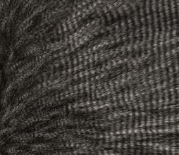 image with artdirection