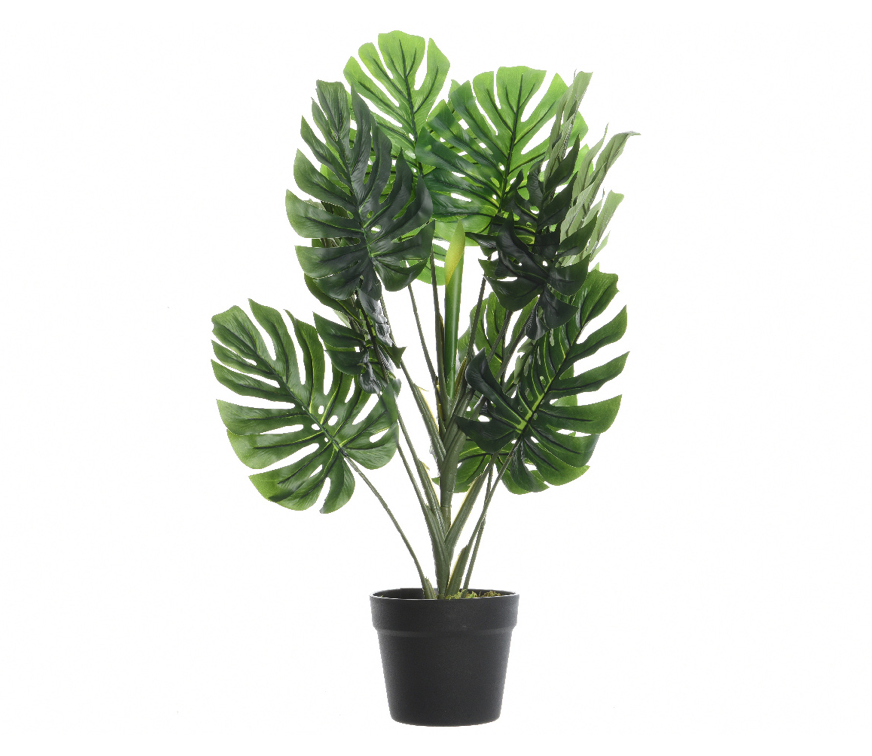 Selected By Monstera Kunstplant In Pot Groen selected by kopen in de aanbieding Selected By Monstera Kunstplant In Pot Groen selected by kopen in de aanbieding